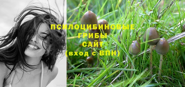гашик Зеленодольск