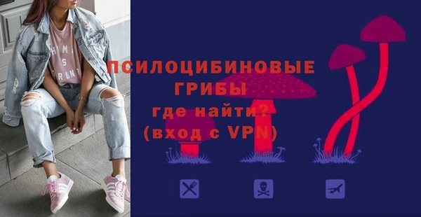 гашик Зеленодольск